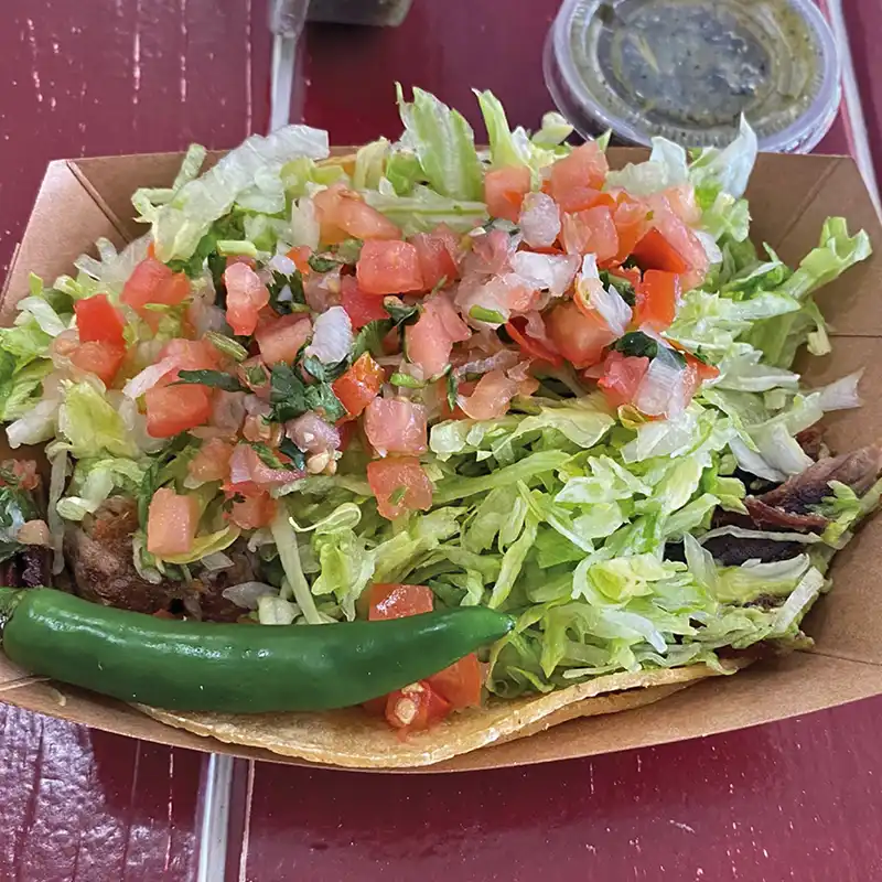 photo of a carnitas soft shell taco